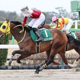 【東京本紙・外山のマーチＳ】