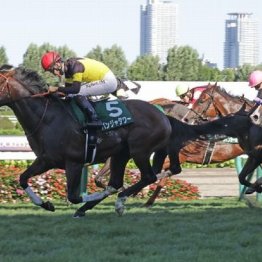 【東京本紙・外山の高松宮記念】