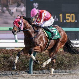 【マーチＳ】サンデーファンデーが昨年のプロキオンＳ以来となる重賞2勝目