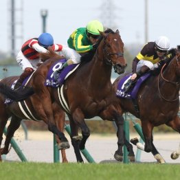 【高松宮記念】サトノレーヴが連覇を達成