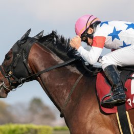 ロードカナロア産駒の強さ再確認　高松宮記念でワン・ツー