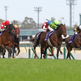 ロードカナロア産駒の強さ再確認　高松宮記念でワン・ツー