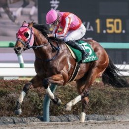 【マーチＳ】５９キロサンデーファンデー押し切りで角田和は重賞初制覇