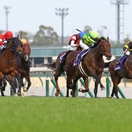 【高松宮記念】ベテランが強いのか若手が弱いのか　進まない世代交代