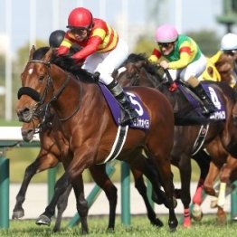 【大阪杯】ドバイ回避馬も参戦で近年でもトップクラスの豪華メンバー