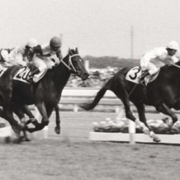 大阪杯で思い出すのは、あの〝無冠の帝王〟