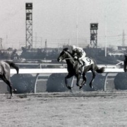 大阪杯で思い出すのは、あの〝無冠の帝王〟