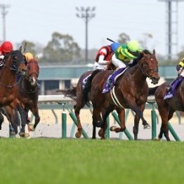 フォーエバーヤングの敗因と次の世界候補