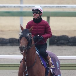 【大阪杯】ダノンデサイル今春も笑う