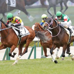 【チャーチルダウンズＣ】オルフェ産駒の記録、高杉吏麒の重賞初Ｖがかかるシーミハットク