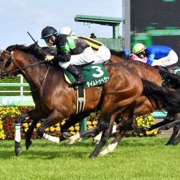 【ダービー卿チャレンジャーＴ】東風Ｓ組に妙味あり