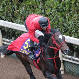 【大阪杯】調教マル得チェック②