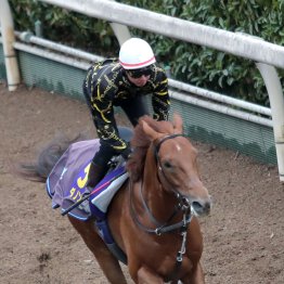 【大阪杯】調教マル得チェック②