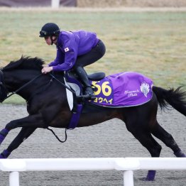 【大阪杯】調教マル得チェック①