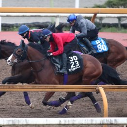 【大阪杯】調教マル得チェック①