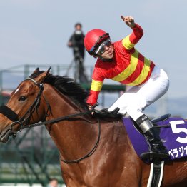 【大阪杯】今年もあるか春のカナロア祭り