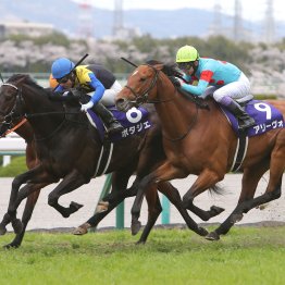 【大阪杯】データ作戦　５歳が他の世代をリード