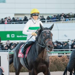 【大阪杯】「動きは前走と全然違います」（友道師）　ショウヘイ大物食い