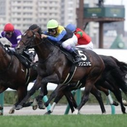 【市川の土曜競馬コラム・ダービー卿チャレンジＴ】