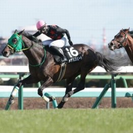 【木津の土曜競馬コラム・ダービー卿チャレンジＴ】