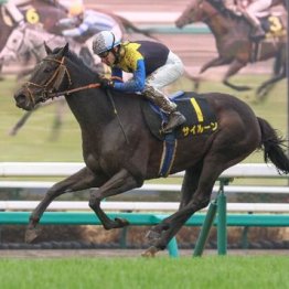 【大谷の土曜競馬コラム・ダービー卿チャレンジＴ】
