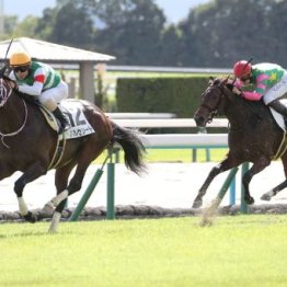 【武田の土曜競馬コラム・チャーチルダウンズＣ】