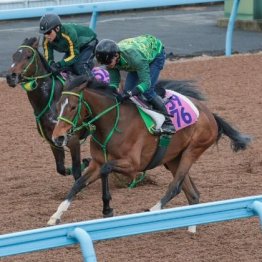 【橘の土曜競馬コラム・チャーチルダウンズＣ】