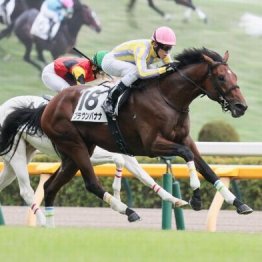 【東京本紙・外山の土曜中山９Ｒ】