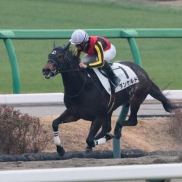 【東京本紙・外山の土曜中山12Ｒ】