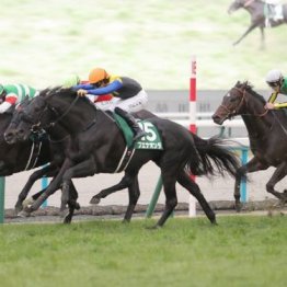 【東京本紙・外山のダービー卿チャレンジＴ】