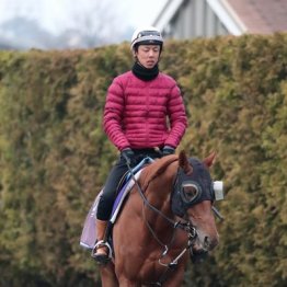 【大阪杯】出走全馬の特選情報