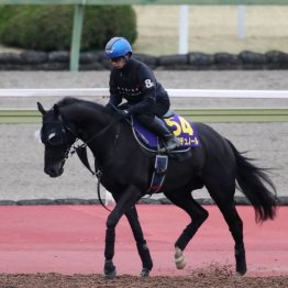【大阪杯】出走全馬の特選情報