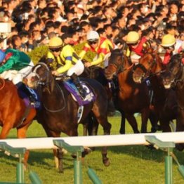 【市川の日曜競馬コラム・大阪杯】
