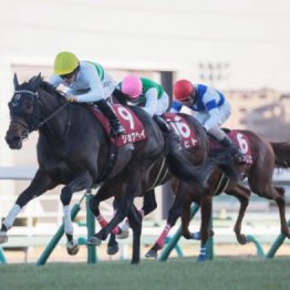 【新居の日曜競馬コラム・大阪杯】