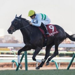 【大谷の日曜競馬コラム・大阪杯】