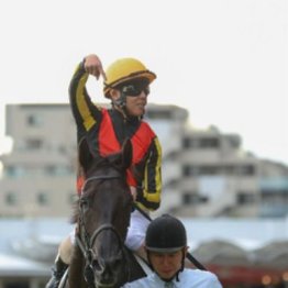 【武田の日曜競馬コラム・大阪杯】