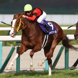 【注目重賞／データで買う・大阪杯】	