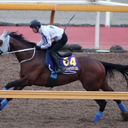 【注目重賞／追い切りで買う・大阪杯】	
