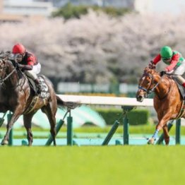 【東京本紙・外山の日曜中山11Ｒ】