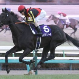 【東京本紙・外山の大阪杯】