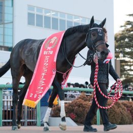【大阪杯】ショウヘイＧⅠ馬逆転　○ダノンデサイル世界の坂井瑠星騎手で対抗