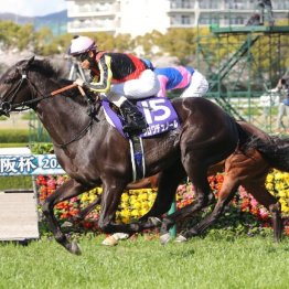 【大阪杯】強力４歳世代のダービー馬クロワデュノールGⅠ３勝目