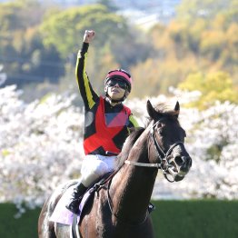 クロワデュノール父子同一GⅠ制覇　キタサン産駒らしい成長曲線を描く今シーズンは期待大