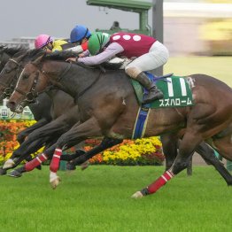 クロワデュノール父子同一GⅠ制覇　キタサン産駒らしい成長曲線を描く今シーズンは期待大