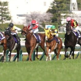 【大阪杯】好メンバー揃いで売り上げ大幅増　ドバイ発売中止の穴を埋めた