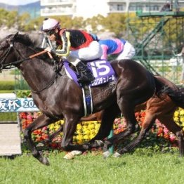 【大阪杯】クロワデュノールあらためて強さを証明