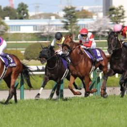 競馬場で会うといつも話す武豊騎手とのちょっと面白いエピソードは…