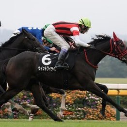 競馬場で会うといつも話す武豊騎手とのちょっと面白いエピソードは…