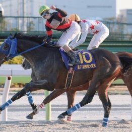 【川崎記念】ＮＡＲ年度代表馬ディクテオン信頼