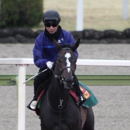 【桜花賞】超良血ドリームコア、桜の女王を目指す